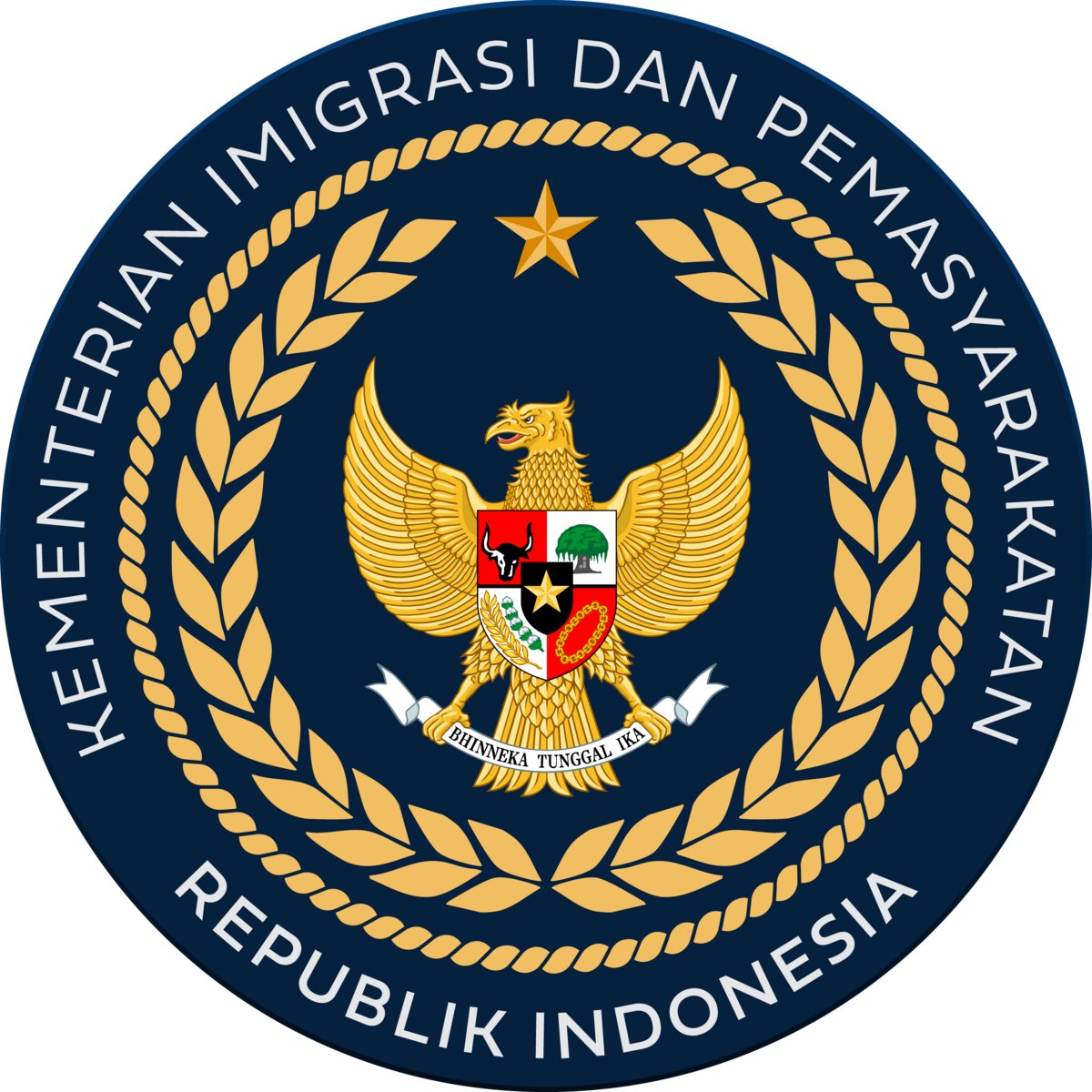 IMIPAS